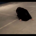 Video: LAURA DRESCHER // Little Miss Pretty I’ve kept abreast with Laura’s work since I grabbed a CD off her in Manchester a couple of years back. Experimental and unconfined by genre, she continues to churn out...