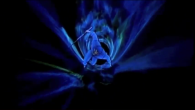 Video: STRANGE UNIVERSE // Imperious Rex Strange Universe – Imperious Rex!!! Not quite sure what’s going on but it sounds amazing....