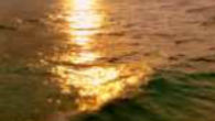 Avens – One Message Here is new Avens instrumental track. Check his track and show some love to his...