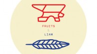 Coming out of Montreal, fruits and Liam have combined to deliver 9 tracks of crafted...
